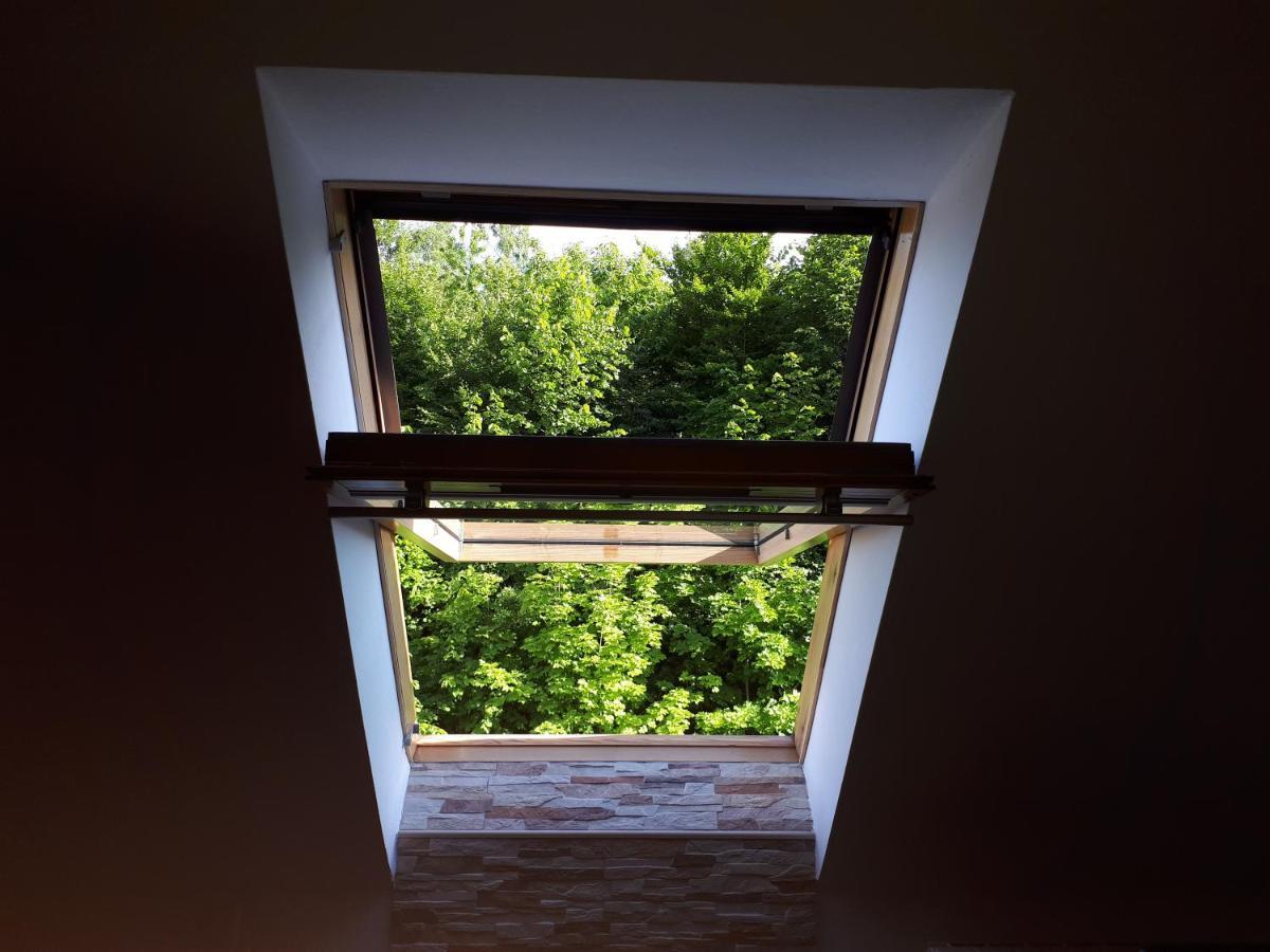 Apartment Erika Fužine Kültér fotó