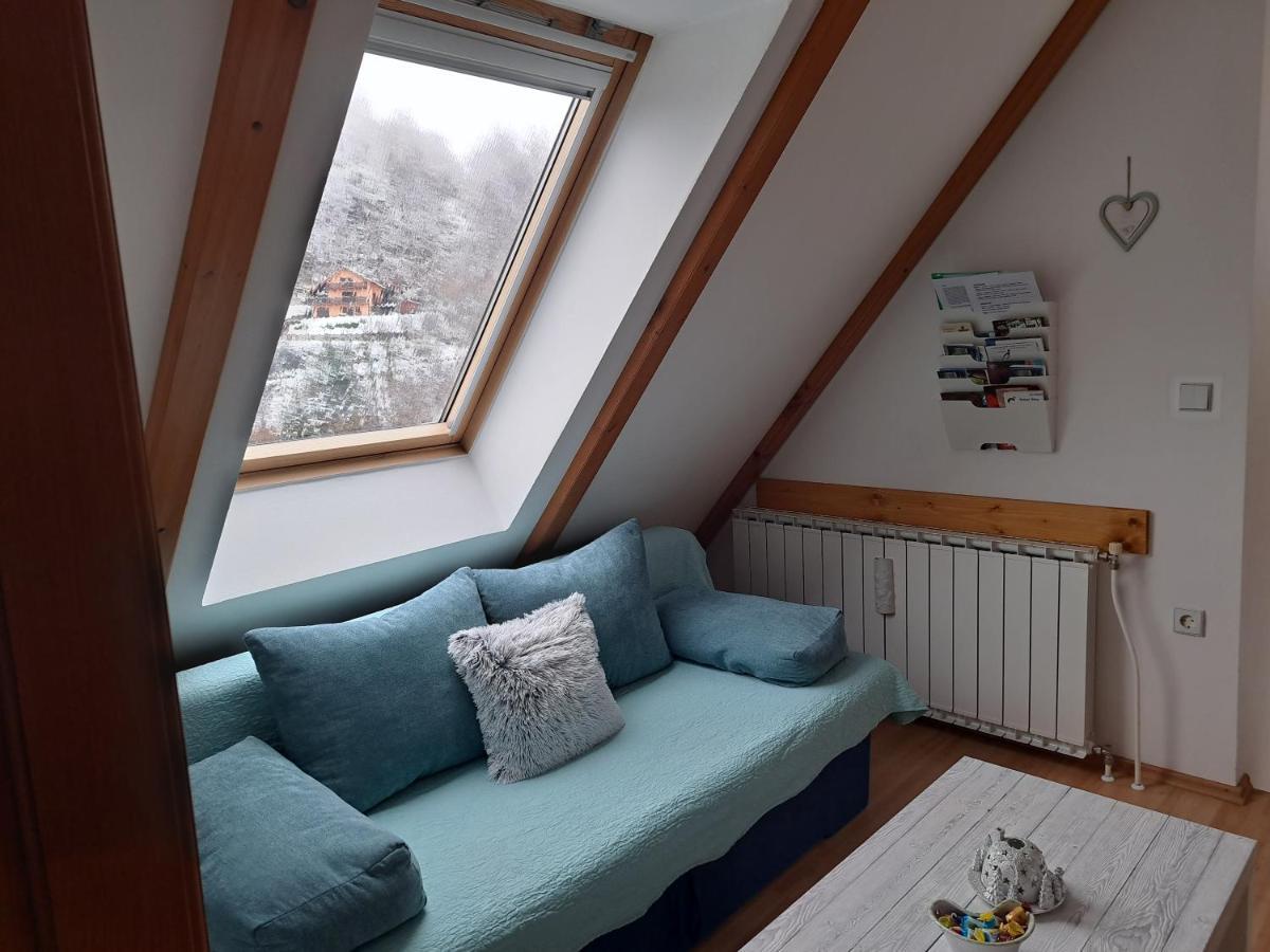 Apartment Erika Fužine Kültér fotó