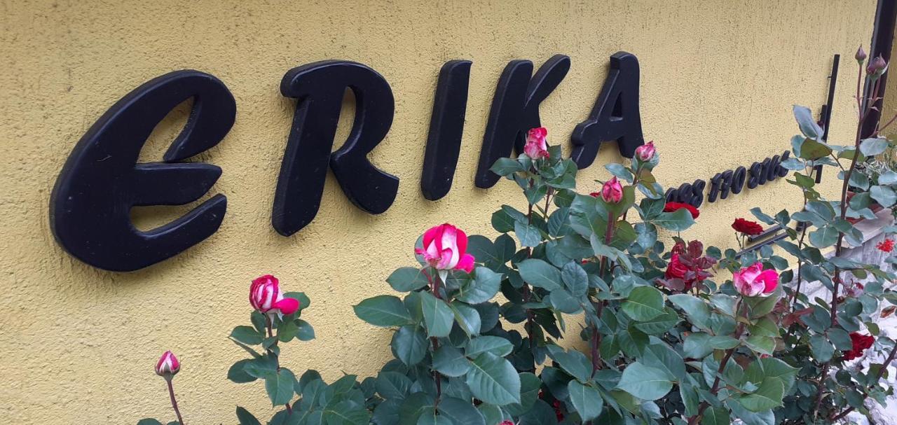 Apartment Erika Fužine Kültér fotó