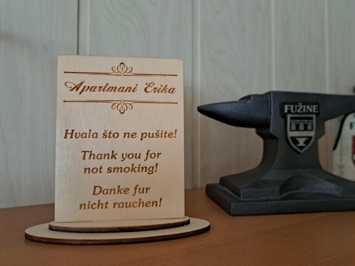 Apartment Erika Fužine Kültér fotó